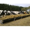 Feeders and Troughs